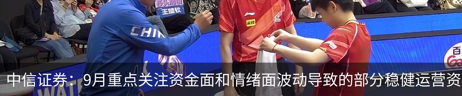 新闻动态
