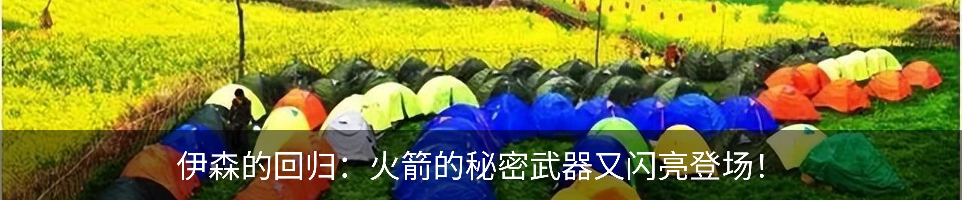 新闻动态
