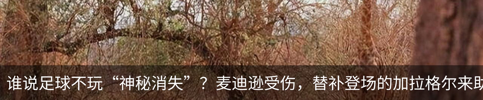 新闻动态